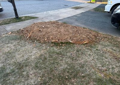 A patch of bare dirt and wood chips on a lawn near a sidewalk and parked cars.