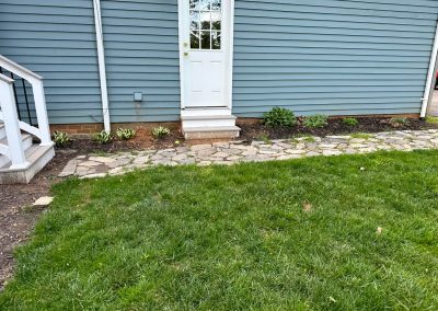 A stone walkway leads to a white door on a blue house, bordered by green grass and small plants.