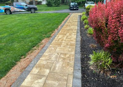 A paved walkway bordered by grass on one side and red bushes on the other, with cars parked in the background.