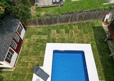 A backyard with fresh sod around a rectangular pool, a shed, and a wooden fence.