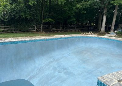 Empty swimming pool with blue tiles, surrounded by grass, trees, a wooden fence, and scattered debris.