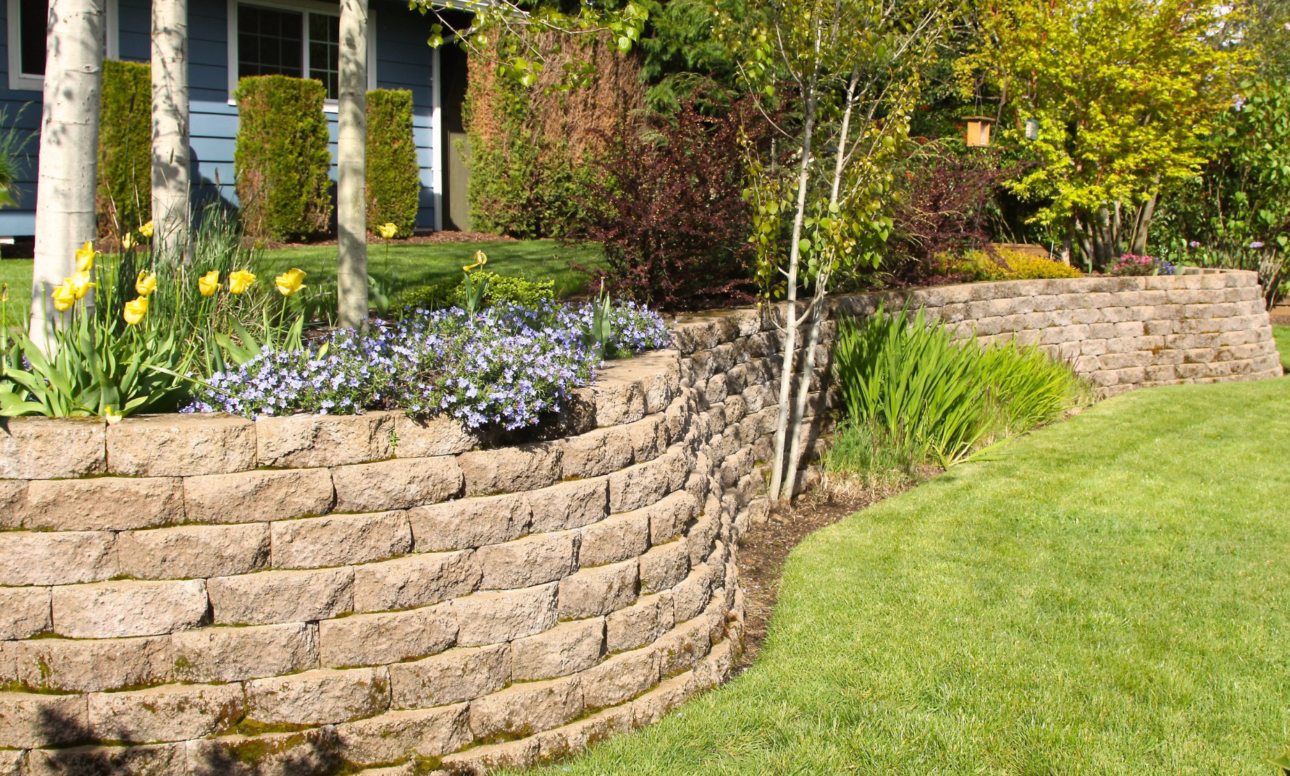 A curved stone retaining wall with blooming flowers separates a green lawn from a raised garden bed.